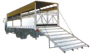 Cattle Transporter